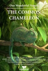 Poster for Our Wonderful Nature - The Common Chameleon