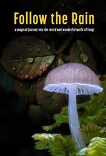 Follow the Rain main poster