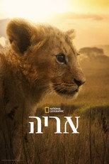 עונה 1