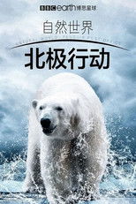 北极行动 poster