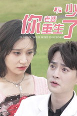 厉少你老婆重生了 poster