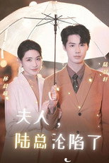 夫人，陆总沦陷了 poster