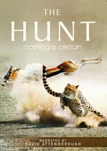 Poster for David Attenborough: The Hunt