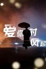 爱你时风起 poster