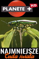 From Macro to Micro: Uncovering Earth's Unseen poster
