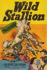 Poster for Wild Stallion