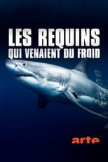 Poster for Les requins qui venaient du froid 