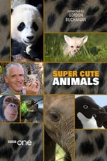 Poster for Super Cute Animals
