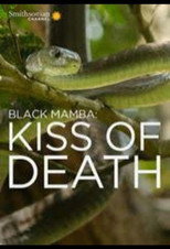 Black Mamba: Kiss Of Death poster