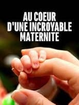Poster for Au cœur d'une incroyable maternité 