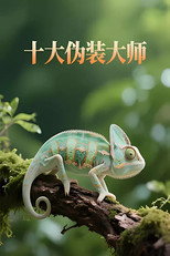 十大伪装大师 poster