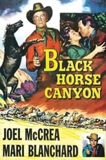 Black Horse Canyon (1954)