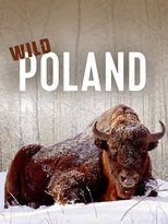 Poster for Wild Poland 