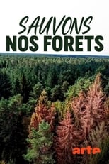 Poster for Die Waldretter