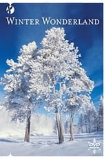 Poster di Winter Wonderland