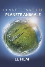Poster for Planète animale 2 : Survivre 