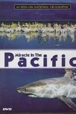 Poster for Miracle in the Pacific