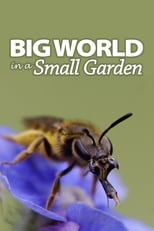 Poster for Big World In A Small Garden 