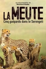 Poster for La Meute : Cinq guépards dans le Serengeti 