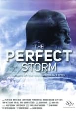 Poster for The Perfect Storm: Story of the 1994 Montreal Expos