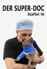 Season 16 poster
