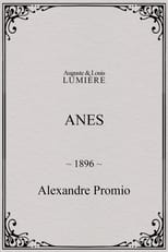 Poster for Anes 