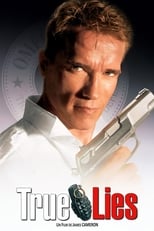 True Lies, le caméléon serie streaming