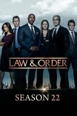 Poster for Law & Order Season 22