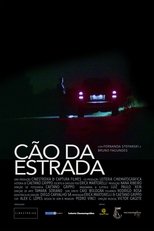 Cão da Estrada