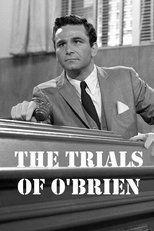 Poster for The Trials of O'Brien Season 1