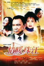 情暖珠江 poster