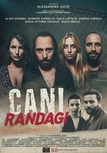 Cani randagi main poster