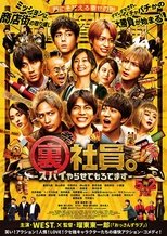 Mission: Sorta Possible poster