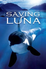Saving Luna poster