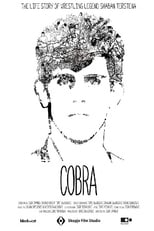 Poster for Cobra