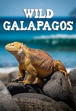 Poster for Wild Galápagos