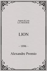 Poster for Lion, London Zoological Gardens