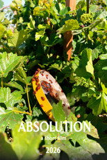 Absolution