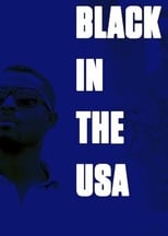 Black in the USA poster