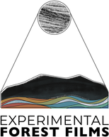 Experimental Forest Films