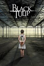 Poster for Black Tulip