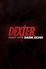 Dark Echo poster