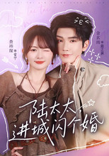 陆太太，进城闪个婚 poster