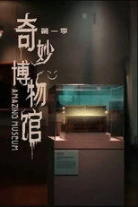 奇妙博物馆 poster