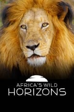 Poster di Africa's Wild Horizons