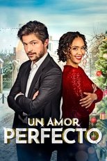 Ver Un Amor Perfecto (2021) Online