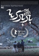 Poster for The Kites 