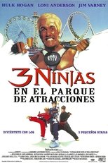 3 ninjas en el parque de atracciones