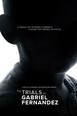 Limited Series poster