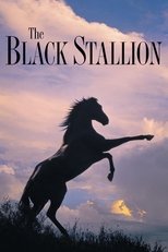 Poster for The Black Stallion